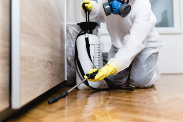Best Commercial Pest Control Services  in Clarcona, FL