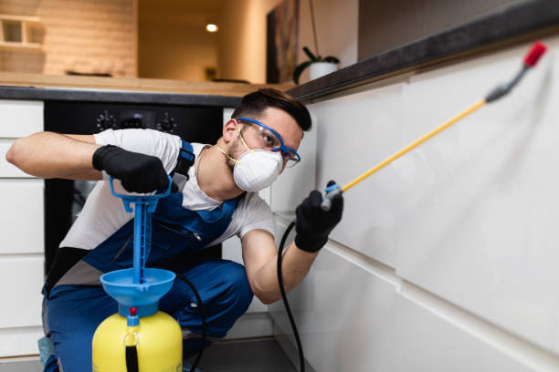 Best Pest Inspection Near Me  in Clarcona, FL