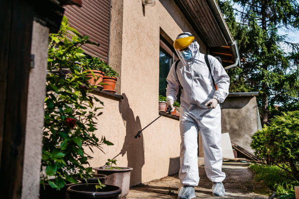 Flea Control Services in Clarcona, FL